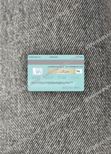 USA SVB Financial Group visa card photolook back